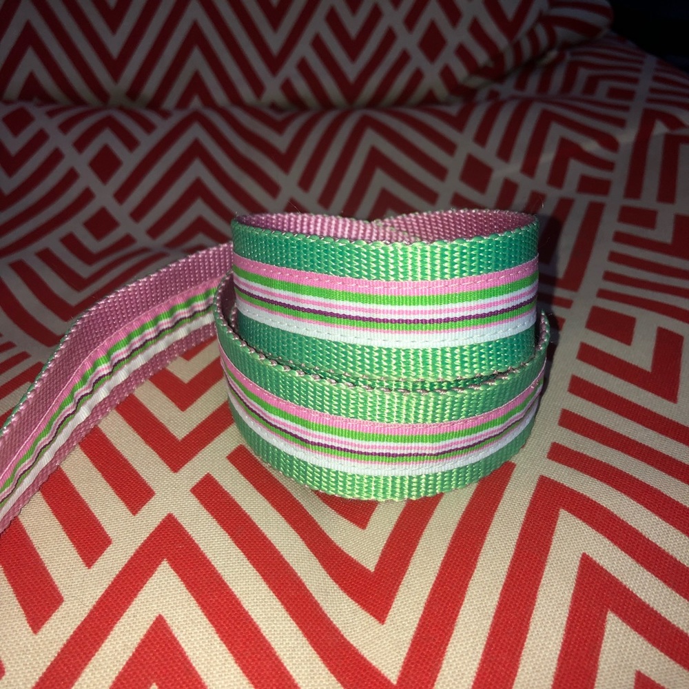 Eliza B Preppy Green Pink Large Belt